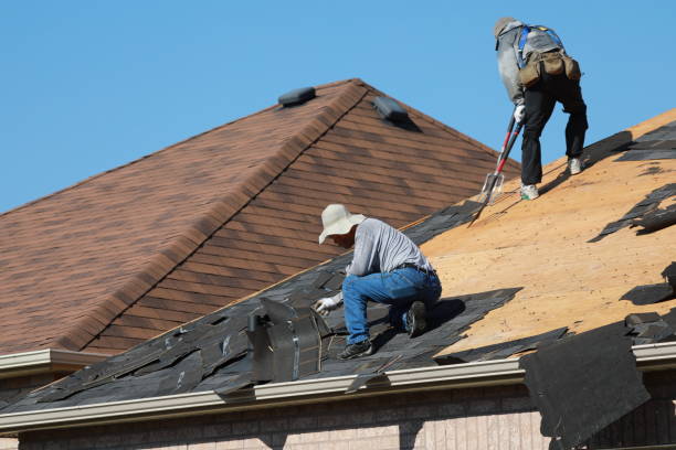 Sheet Metal Roofing in Green Cove Springs, FL